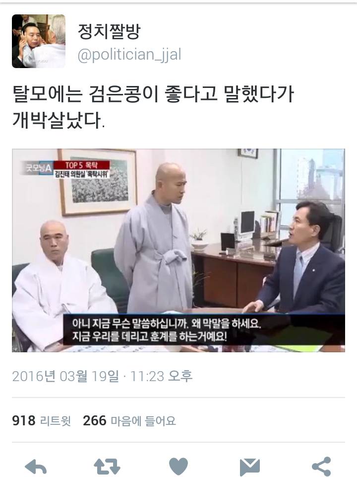 내 사위가 누구인가!!!! 뽕쟁이!!!! (feat.정치짤방) | 인스티즈