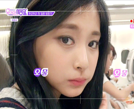 쯔위 닮은 고양이.gif | 인스티즈