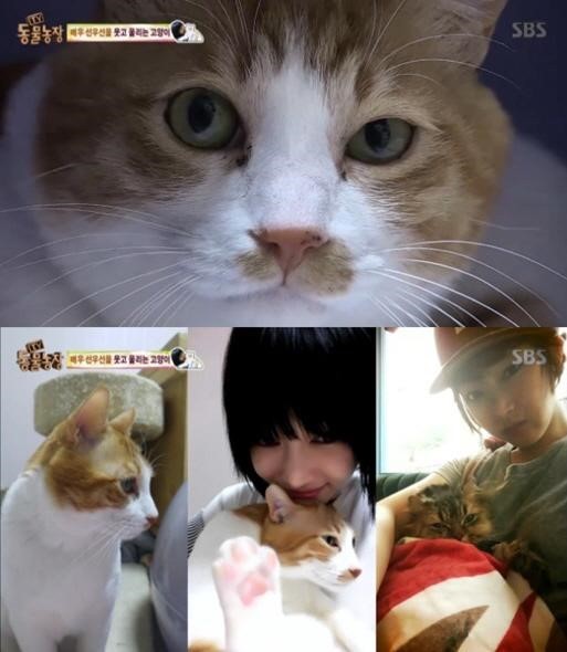 반려동물 사지 않고 입양한 연예인들.jpg | 인스티즈