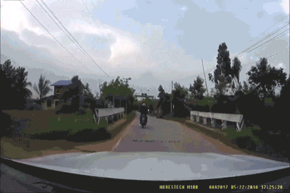 길에서 뱀을 만났을때 .gif | 인스티즈