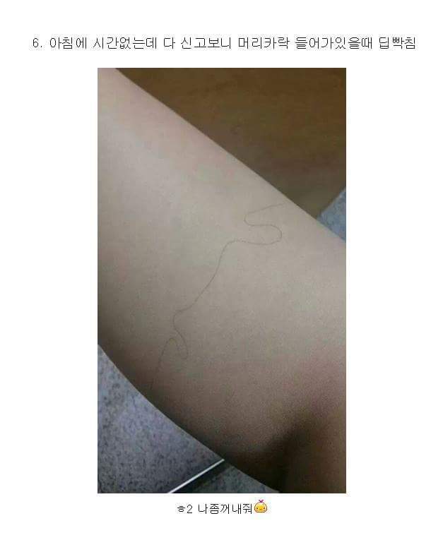 여자들만 아는 스타킹 딥빡 | 인스티즈