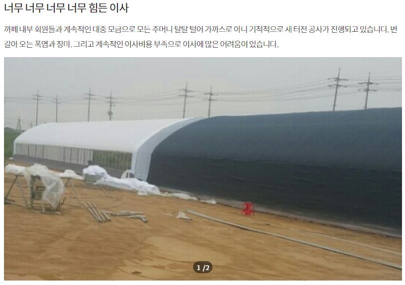 [같이가치모금(달성률87％)] 내사랑바둑이 사설유기동물보호소가 230여마리의 동물들에게 먹일 사료가 부족해 사료비 모금을 하고 있어요 | 인스티즈