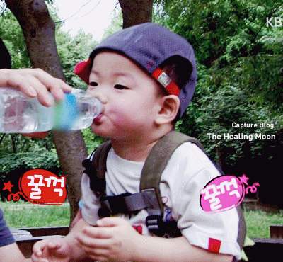 걸어다니는 애교주머니 민국이 모음 (데이터주의!) | 인스티즈