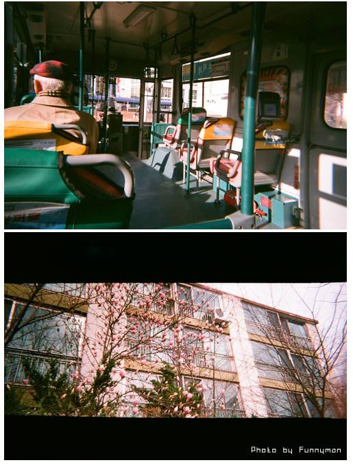 필름카메라중에서도 머글마저 구매욕구 돋게하는 토이카메라 | 인스티즈