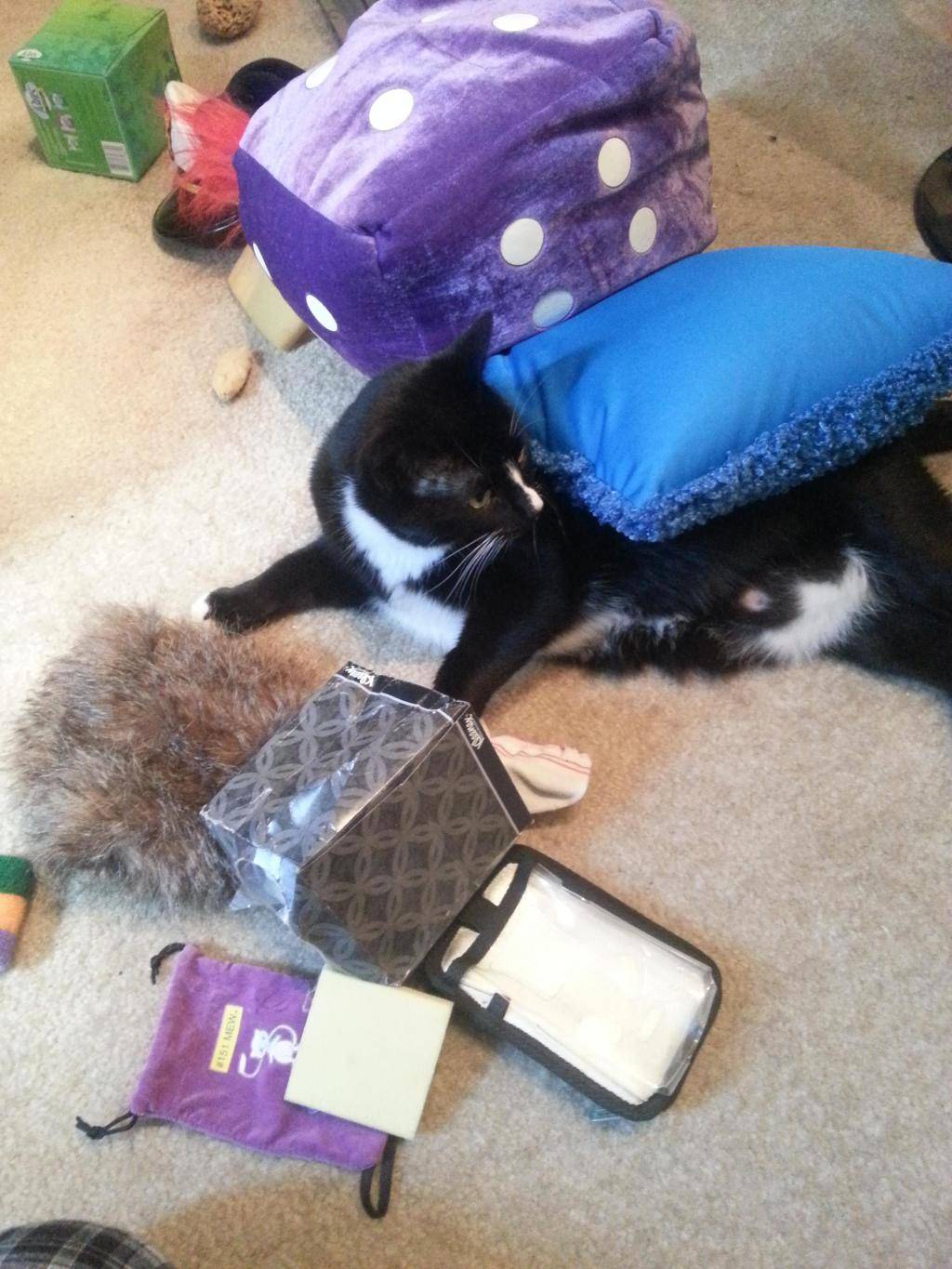 보자보자 하니까 주인 ㅆ바넘이 | 인스티즈