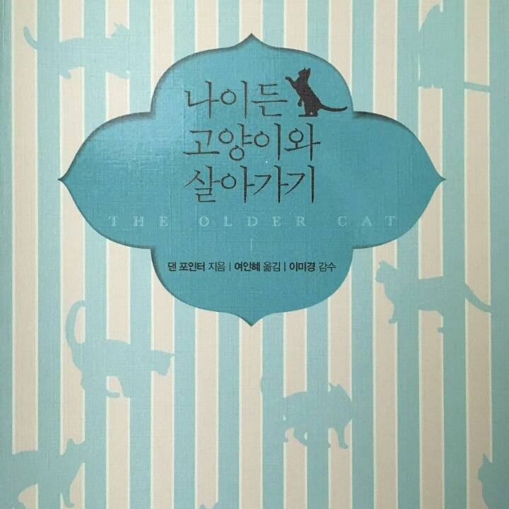 나이든 고양이와 살아가기(feat.나이별특징) | 인스티즈