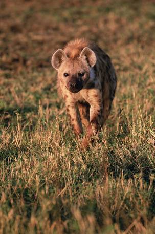 배우 빠수니들은 어떻게 짱덕질하는지 내가 자기소개 해드림 | 인스티즈