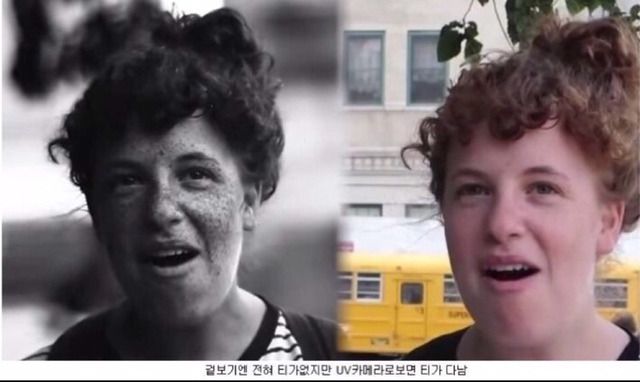 흑인들이 대부분 꿀피부인 이유.jpg(feat.자외선차단의 중요성) | 인스티즈