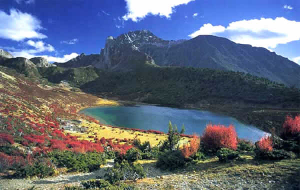 마음이 정화되는 중국의 자연 경관 | 인스티즈