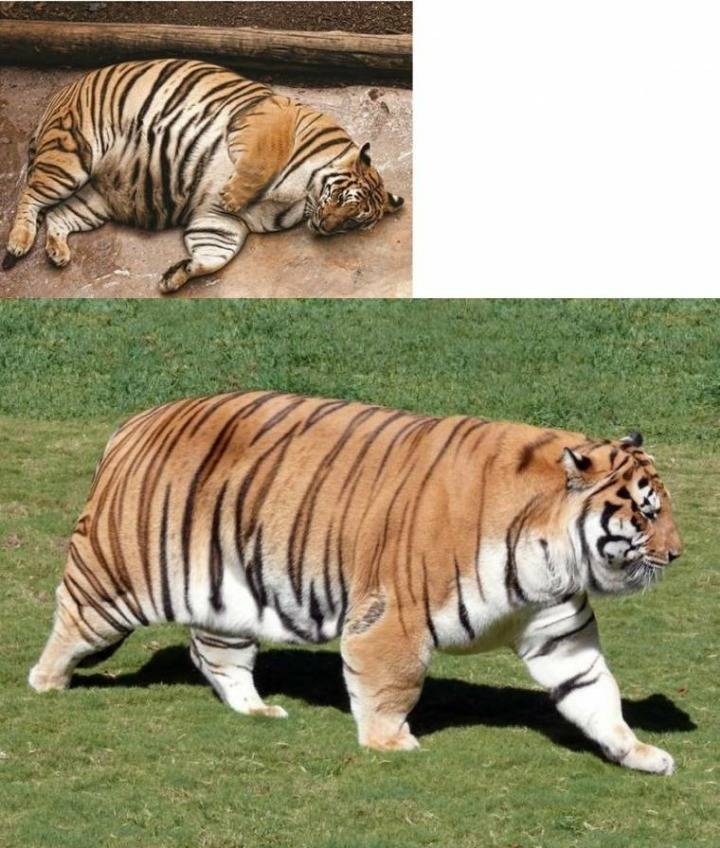 파호우 | 인스티즈