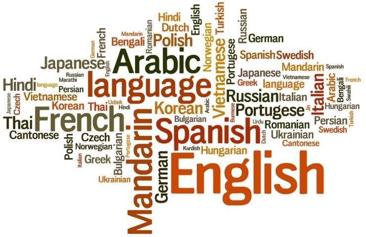 영어 빼고 다른나라 언어를 마스터 할수 있다면 본인 선택은? | 인스티즈