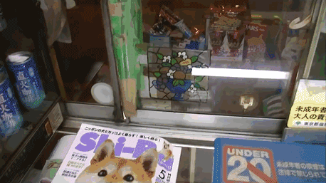 일본 흔한 담배가게 직원 | 인스티즈