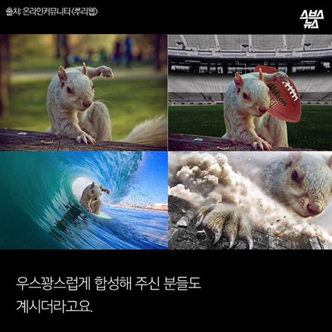 청설모 착지의 진실 | 인스티즈