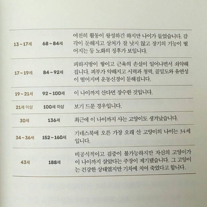 나이든 고양이와 살아가기(feat.나이별특징) | 인스티즈