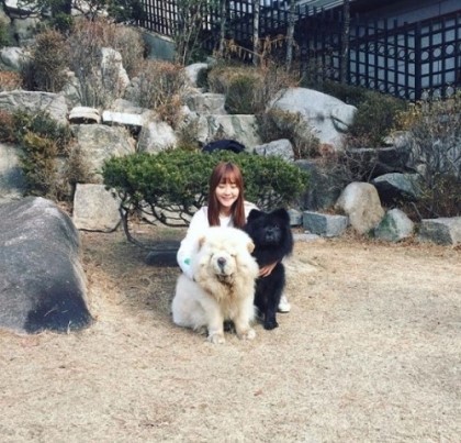 대형견을 키우는 연예인들 | 인스티즈