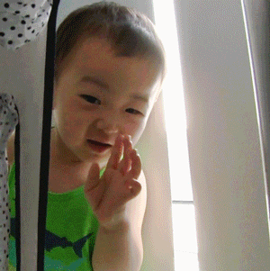 걸어다니는 애교주머니 민국이 모음 (데이터주의!) | 인스티즈