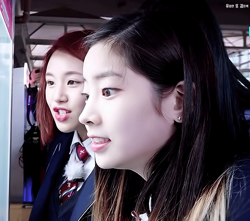 [트와이스] 코랑 이마가 예술인 두부 다현 | 인스티즈