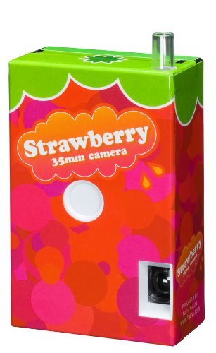 필름카메라중에서도 머글마저 구매욕구 돋게하는 토이카메라 | 인스티즈