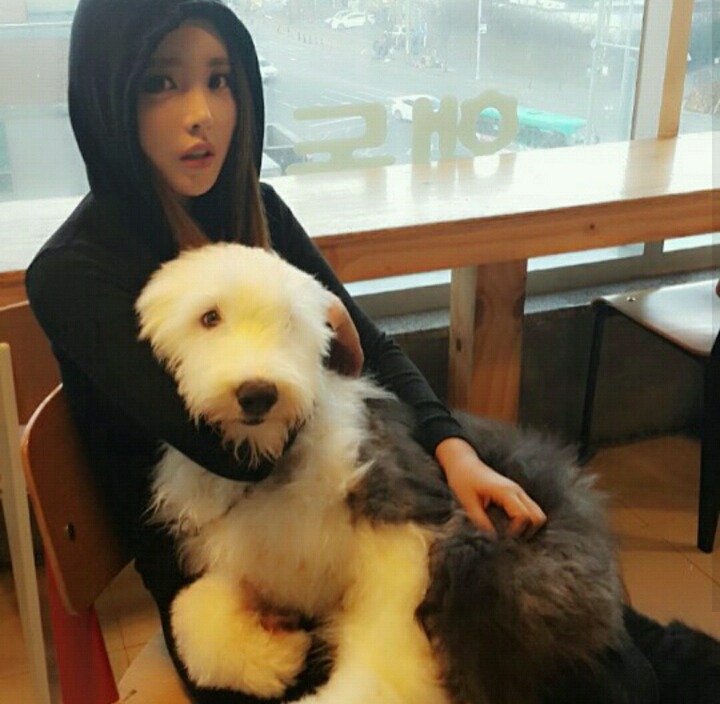 대형견을 키우는 연예인들 | 인스티즈