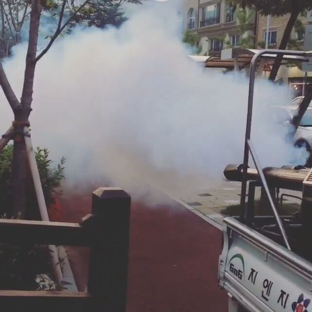 아직도 다니는 소독차.jpg | 인스티즈