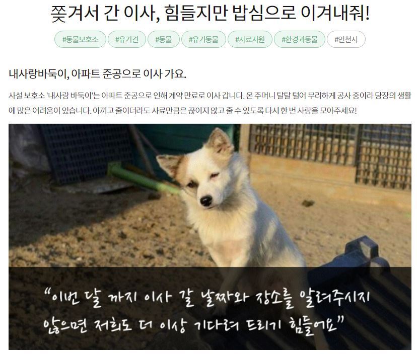 [같이가치모금(달성률87％)] 내사랑바둑이 사설유기동물보호소가 230여마리의 동물들에게 먹일 사료가 부족해 사료비 모금을 하고 있어요 | 인스티즈