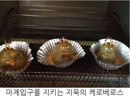 요리고자들의 이상과 현실 | 인스티즈