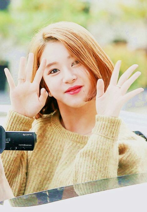 야 손채영 쩔지않냐? | 인스티즈