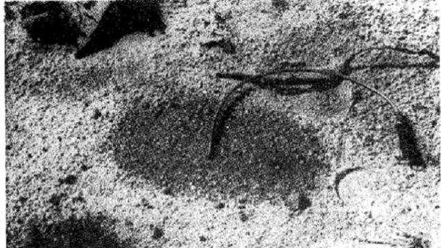  베트남 전쟁의 흥미로운 사실들.JPG | 인스티즈