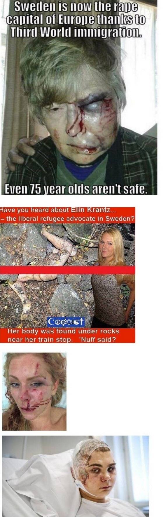 살기좋은나라 스웨덴의 위기.jpg 의 출처를 찾아보았다 | 인스티즈