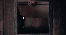 [그랜드부다페스트호텔] 감독이 대칭성애자일 때 생기는 일 | 인스티즈