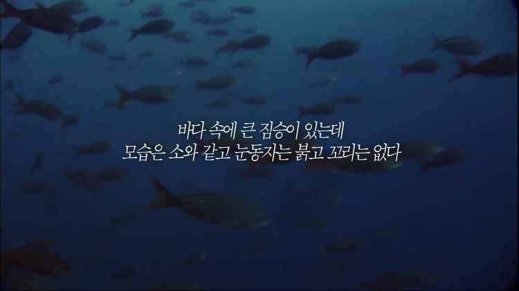 일본의 뻔뻔함 | 인스티즈