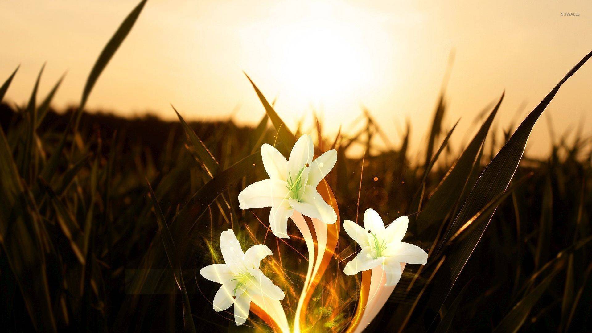 고화질 배경화면 (데이터 주의) | 인스티즈