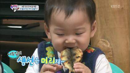 걸어다니는 애교주머니 민국이 모음 (데이터주의!) | 인스티즈