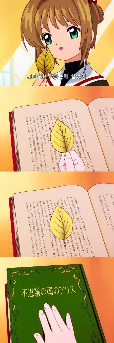 카드캡터 체리 55화 : 체리와 이상한 나라의 체리 | 인스티즈