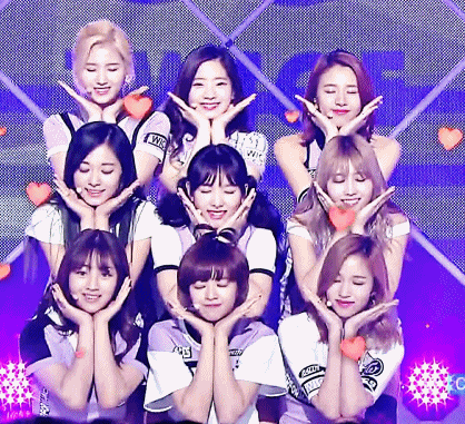 트와이스 꽃밭 이중에 님들취향은? | 인스티즈