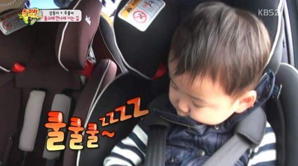 걸어다니는 애교주머니 민국이 모음 (데이터주의!) | 인스티즈