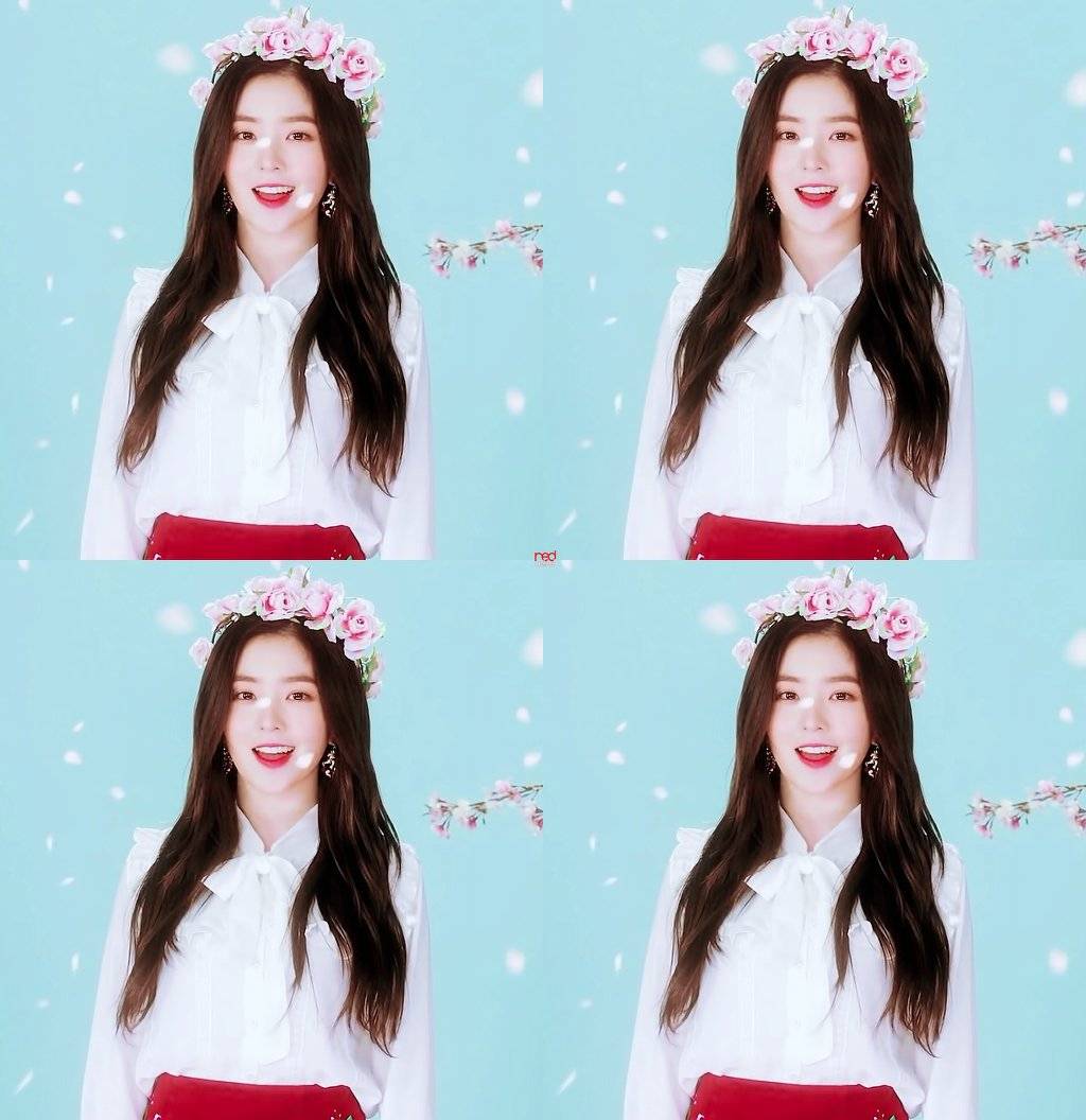  활동별로 보는 레드벨벳 아이린.jpgif | 인스티즈