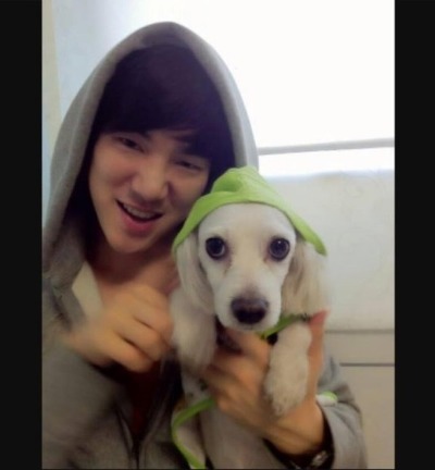 반려동물 사지 않고 입양한 연예인들.jpg | 인스티즈