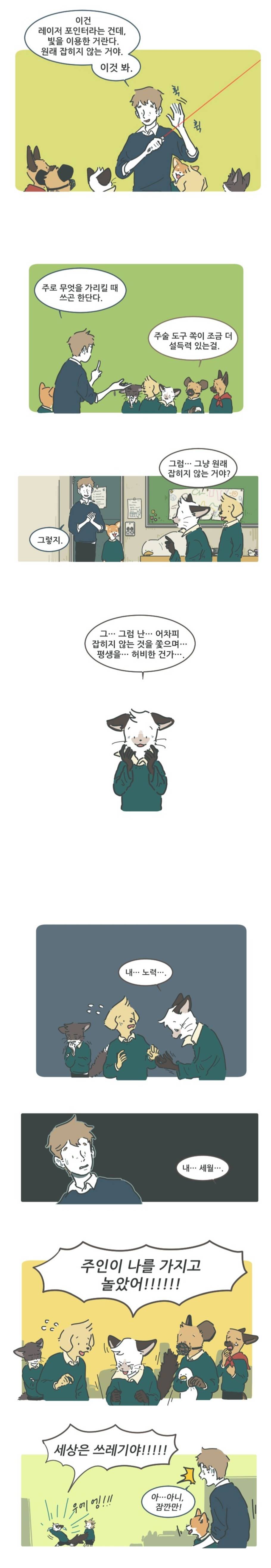 동심파괴 당한 고양이.jpg | 인스티즈