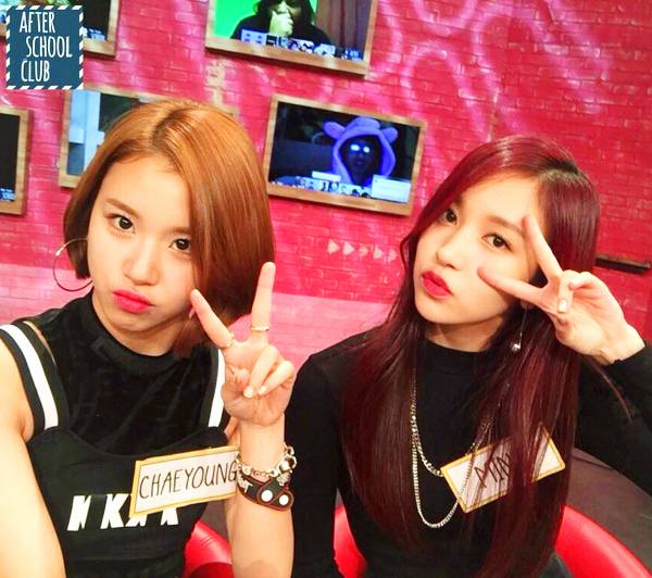 [트와이스] 대표 케미 미챙(미나+채영) 달달한 분위기 짤들.gif | 인스티즈