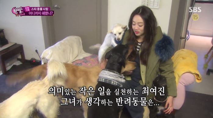 반려동물 사지 않고 입양한 연예인들.jpg | 인스티즈