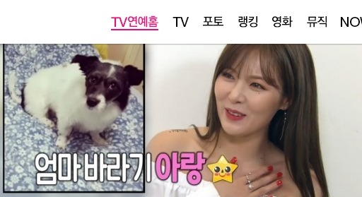 반려동물 사지 않고 입양한 연예인들.jpg | 인스티즈