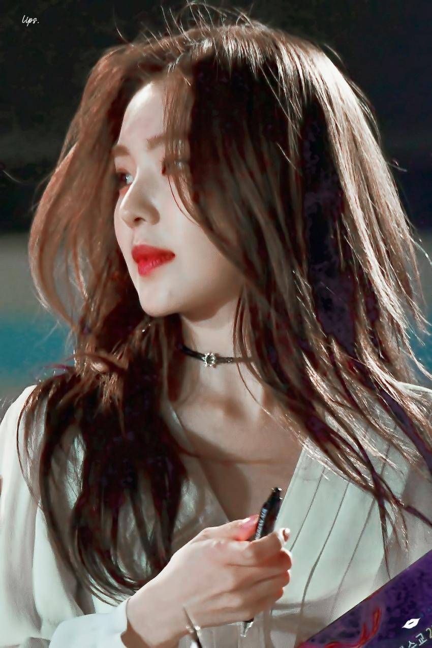  활동별로 보는 레드벨벳 아이린.jpgif | 인스티즈