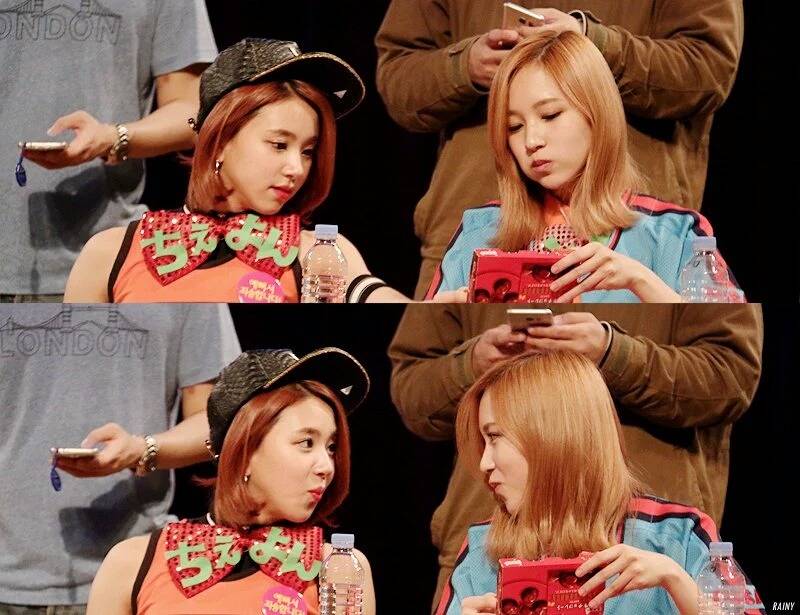 [트와이스] 대표 케미 미챙(미나+채영) 달달한 분위기 짤들.gif | 인스티즈