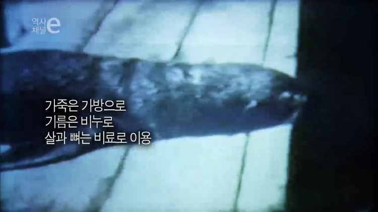 일본의 뻔뻔함 | 인스티즈