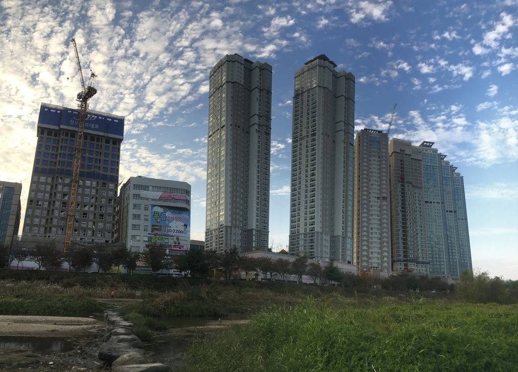 세계의 도시공학자들이 한 목소리로 말하는 한국 도시의 문제점 | 인스티즈