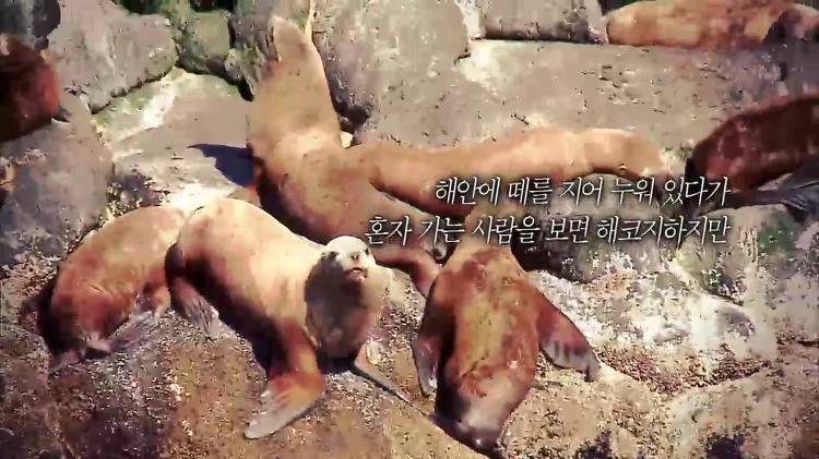 일본의 뻔뻔함 | 인스티즈