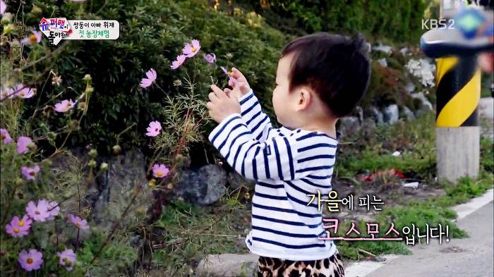 [슈퍼맨이돌아왔다] 훈녀 돋는 이서언 취향들ㅋㅋㅋㅋㅋ.JPG | 인스티즈