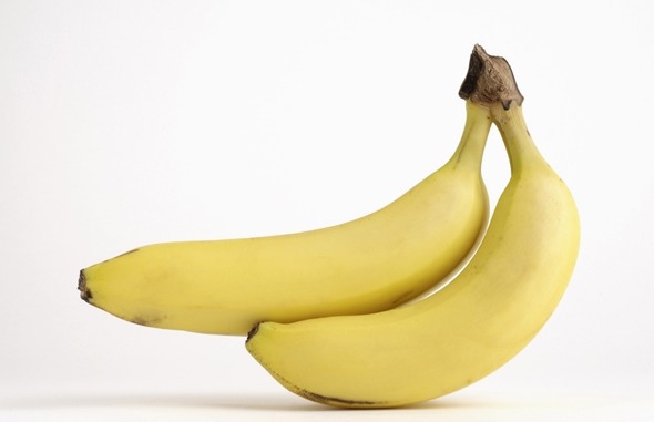 여러분의 선택 : 어느 바나나 드실래용? | 인스티즈