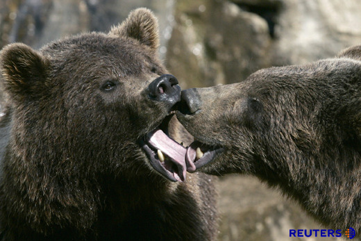 대머리를 놀리면 안되는 이유 | 인스티즈